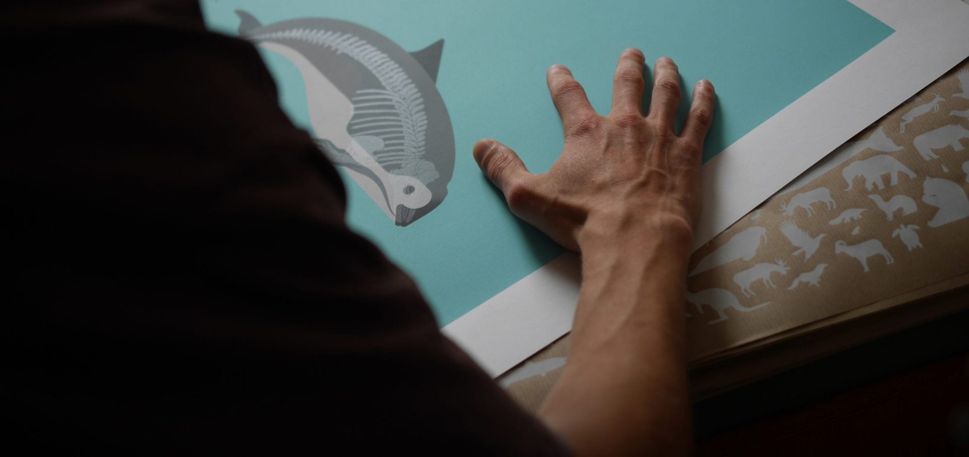 Conservation art endangered animals under the skin vaquita print