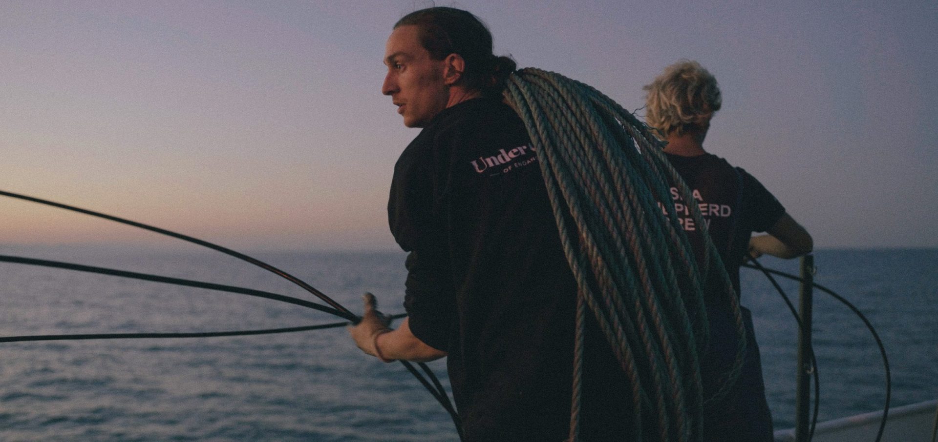 Conservation art endangered animals under the skin sea shepherd