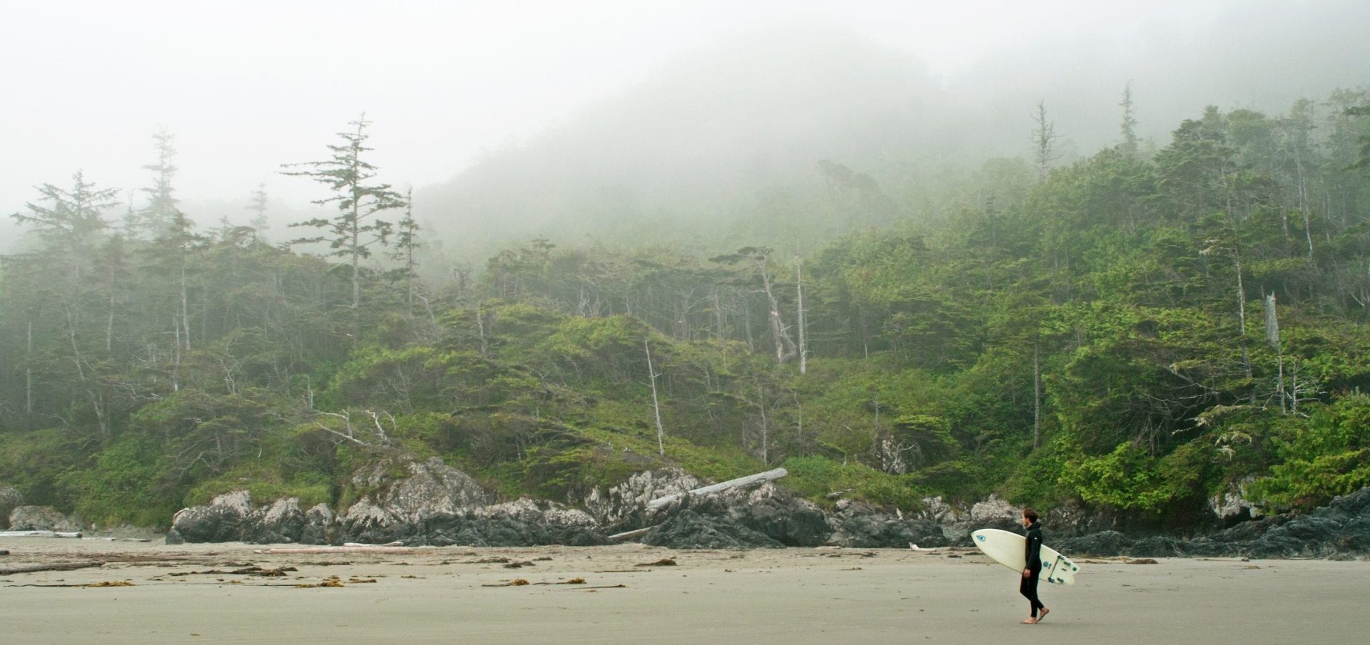 Conservation art endangered animals under the skin surf canada