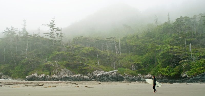 Conservation art endangered animals under the skin surf canada