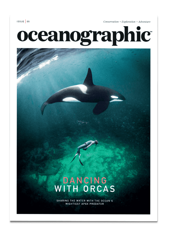 Oceanographic Magazine, Issue Nine, Cover
