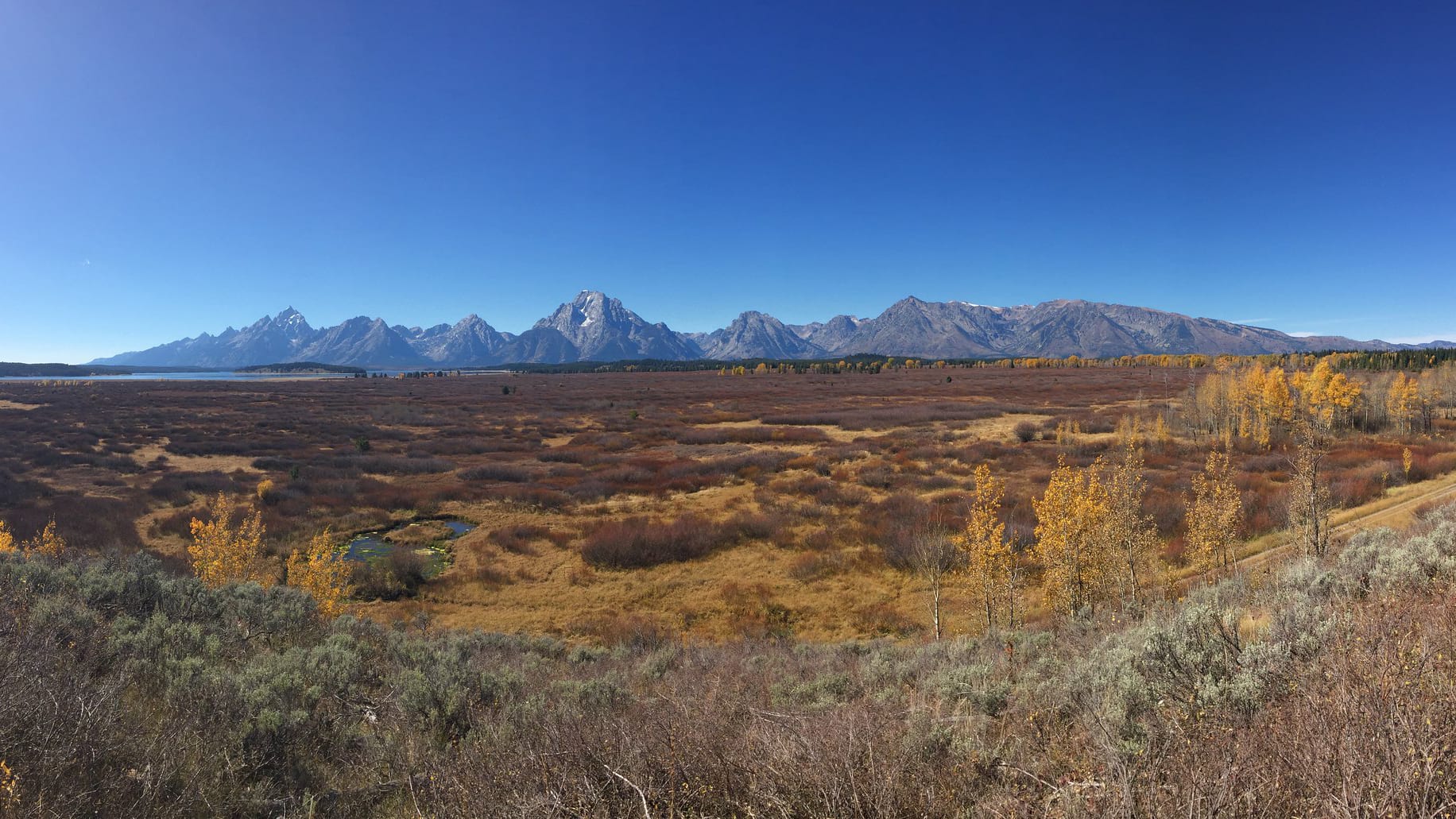 Jackson Wild Summit Media Awards 2019 winners nature film