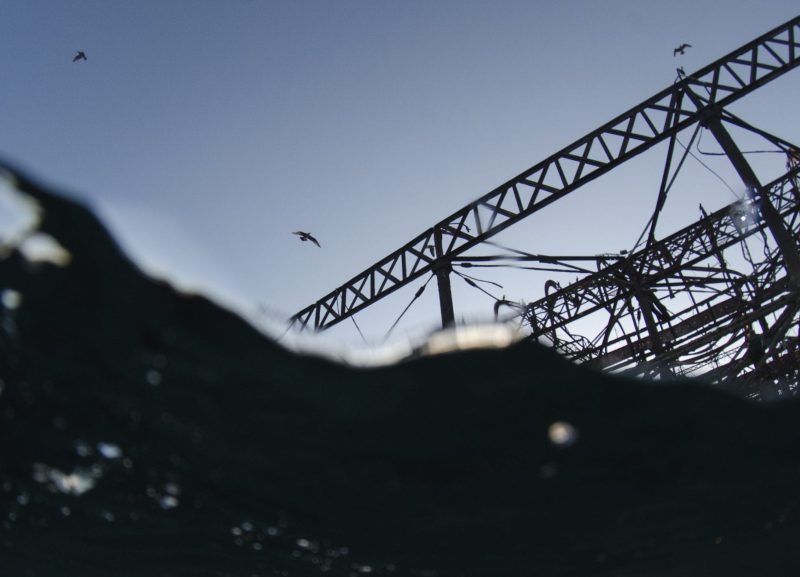 Brighton West Pier wreck Will Appleyard UK sea gulls