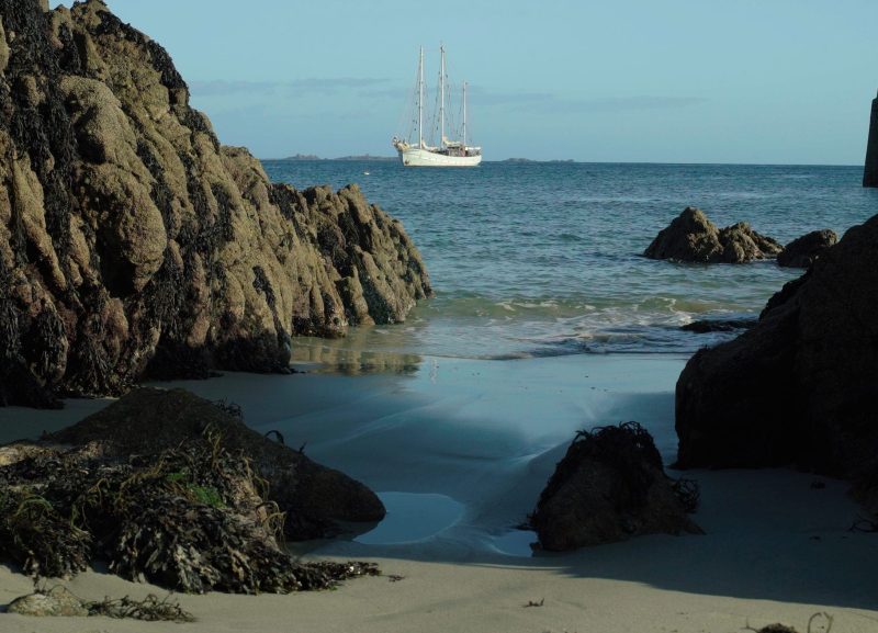 Rara Avis tall ship schooner sailing beach