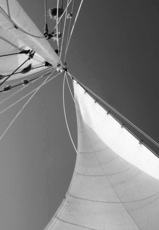 Rara Avis tall ship schooner sailing sails