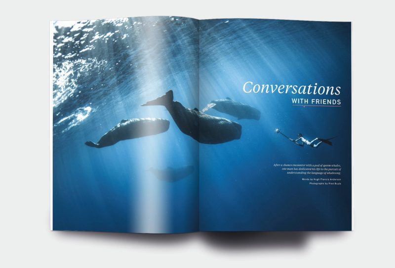 OM_website_ISSUE10_1