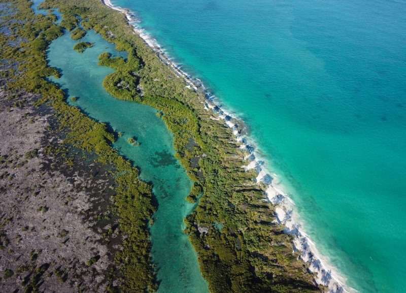 tessa hempson coral reef oceans without borders Vamizi