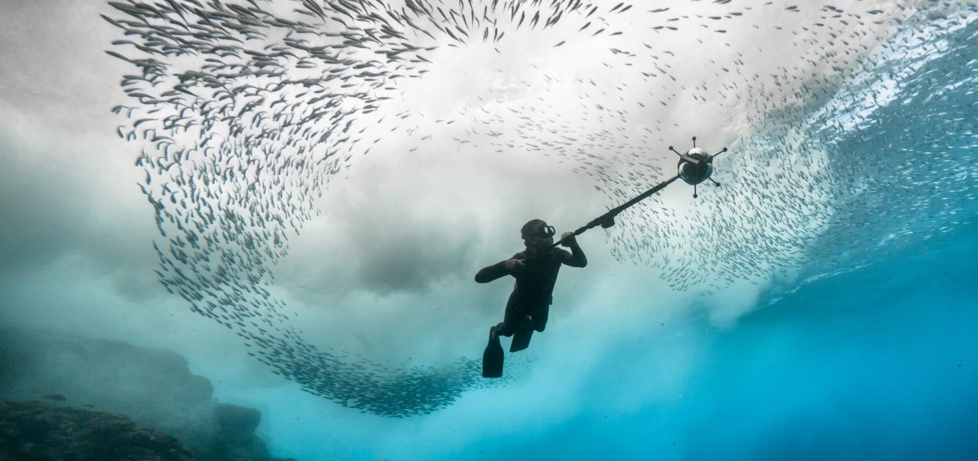 Darewin Project Interpretting Whalesong Fred Buyle