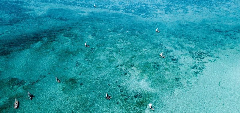 Adventurists Kraken Cup Zanzibar