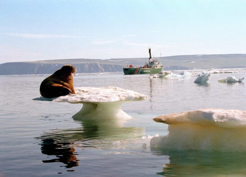 Global Oceans Treaty Greenpeace Ocean