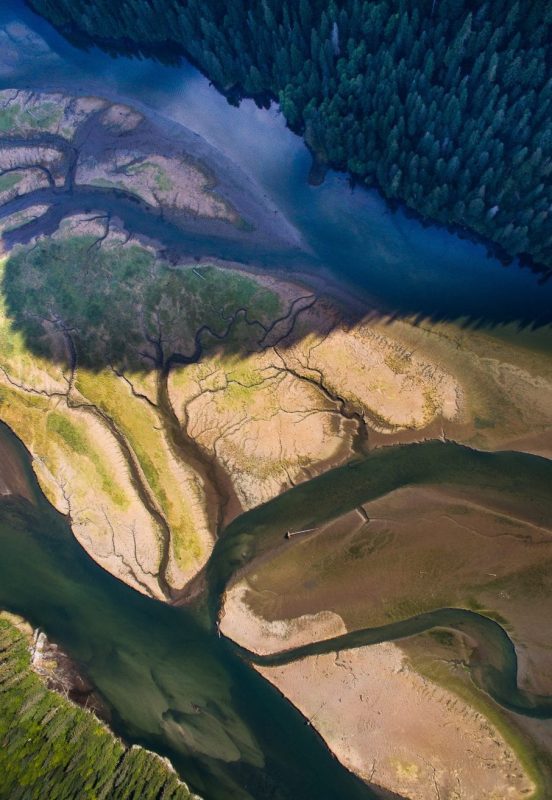 Bloodwater Tavish Campbell wild salmon British Columbia Canada