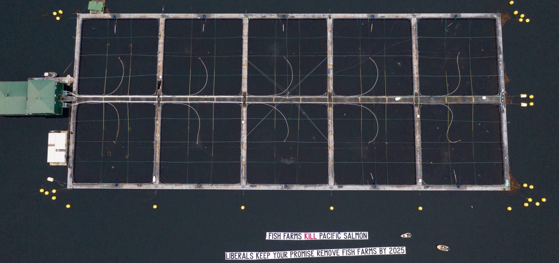 Bloodwater Tavish Campbell wild salmon British Columbia open pens