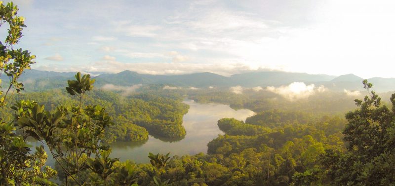 10 New Insights in Climate Science 2019