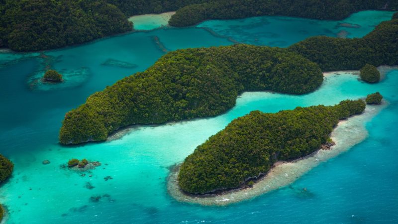 Palau National Marine Sanctuary