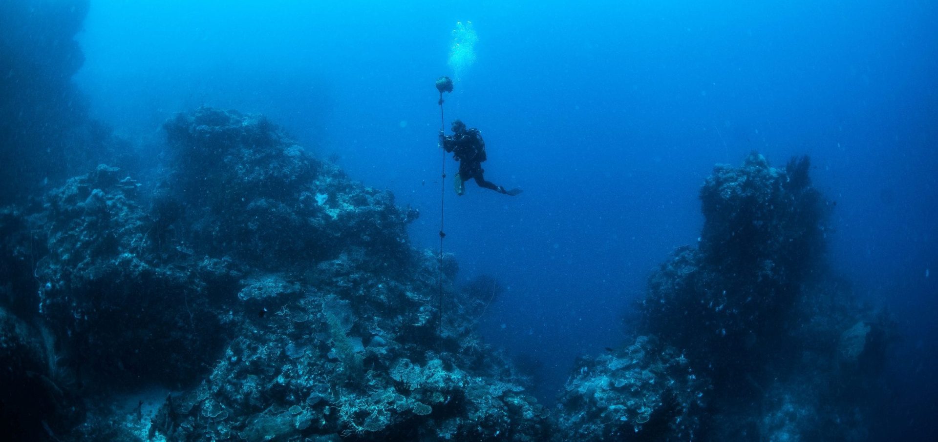 tessa hempson coral reef oceans without borders studying reefs