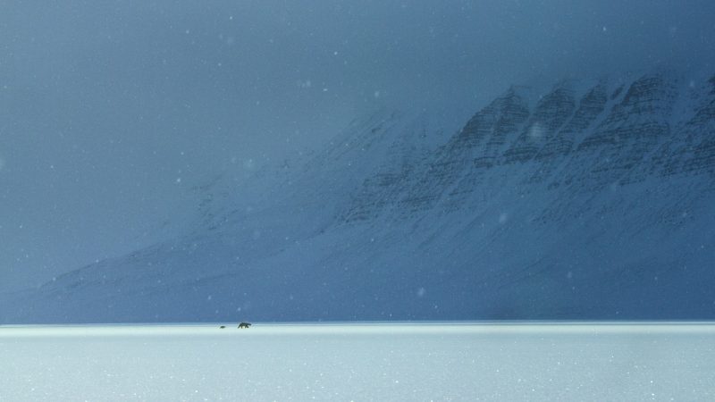 Alastair-Fothergill-Our-Planet-ice