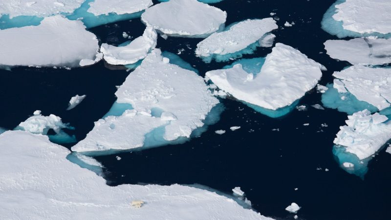 Alastair-Fothergill-Our-Planet-Sophie-Lanfear-polar-bears