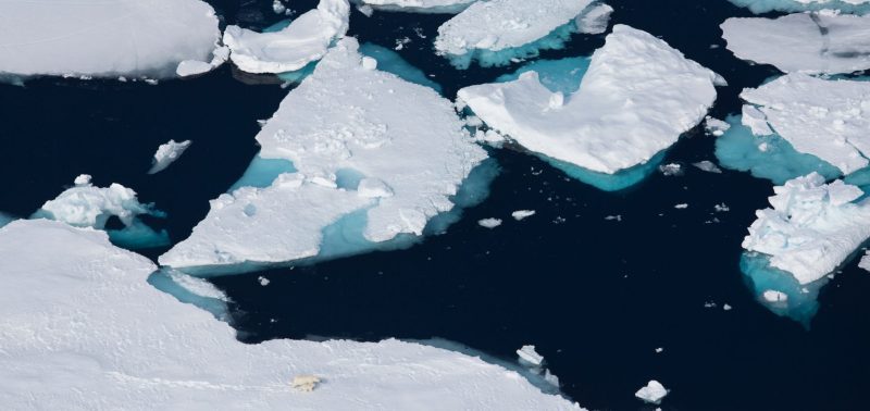 Alastair-Fothergill- Our Planet -Sophie-Lanfear