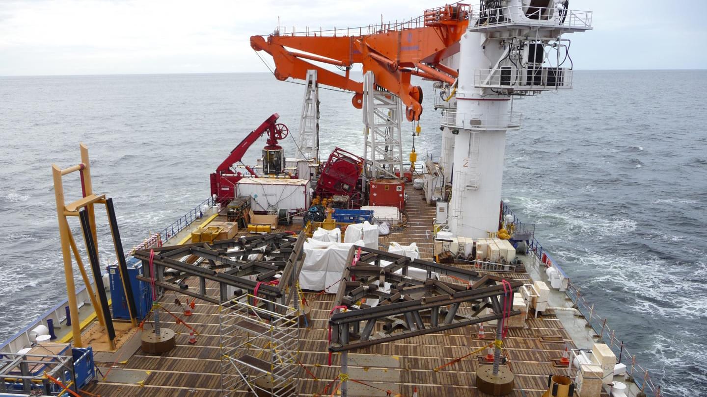 Deep-sea fish migrations
