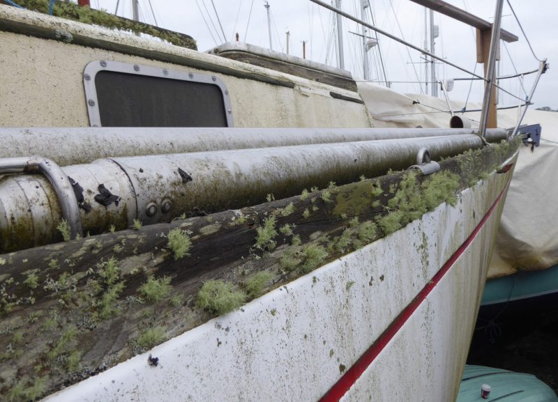 elixir boat ocean sailing