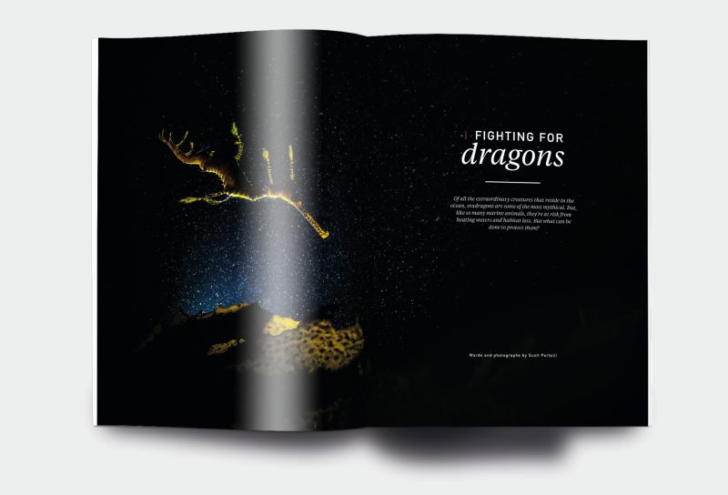 OM_website_ISSUE12_3