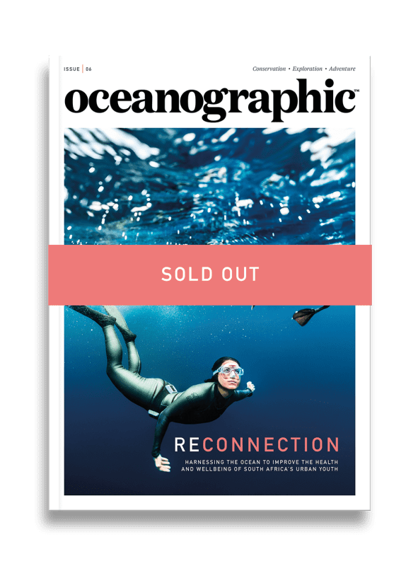 Issue Six 