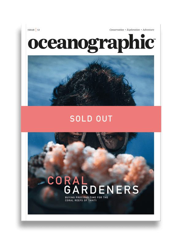 Issue Twelve 