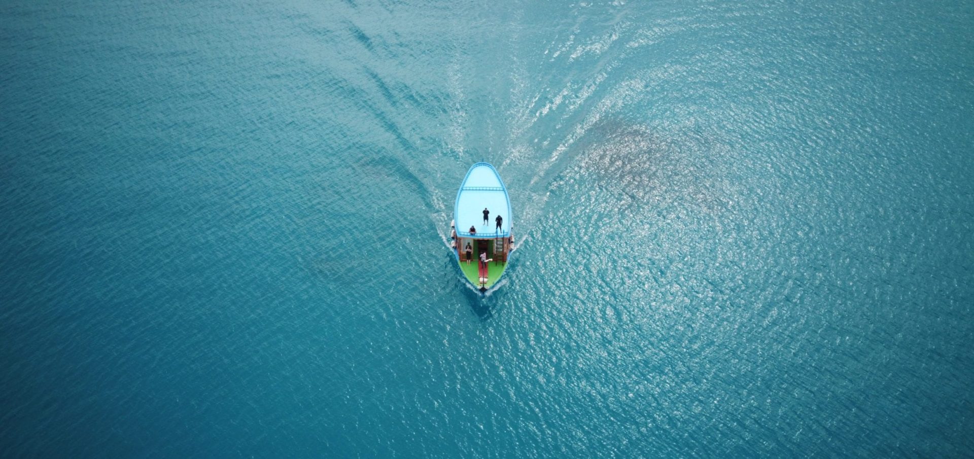 Maldives Whale Shark Research Programme