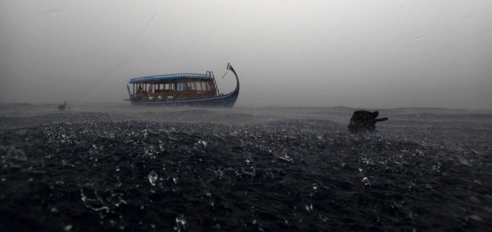 Maldives Whale Shark Research Programme