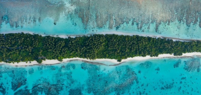 Maldives Whale Shark Research Programme