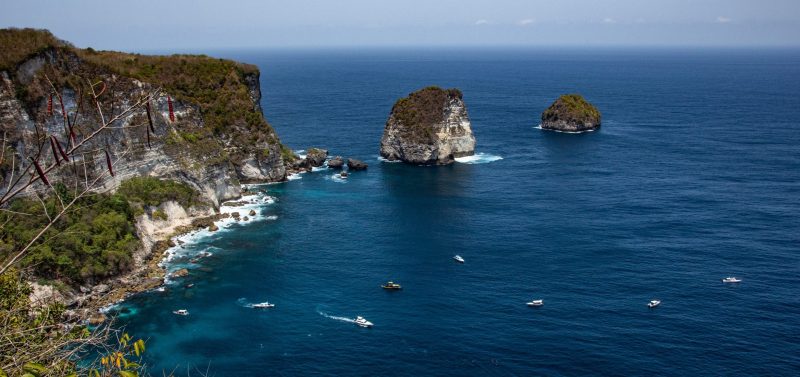 manta ray Bali Manta Bay
