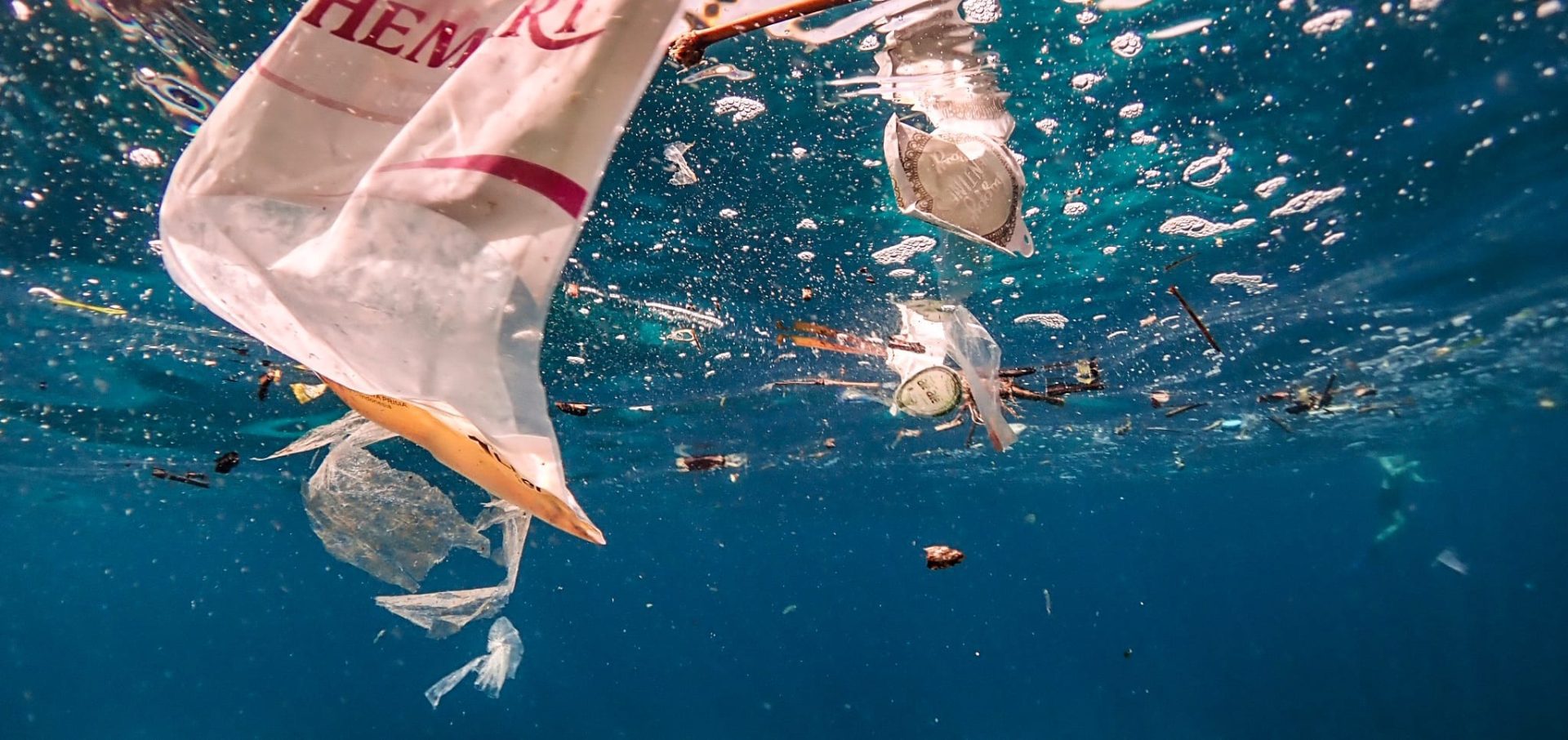 manta rays in ocean plastics