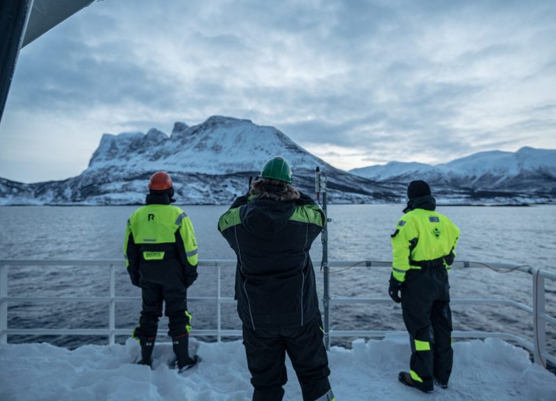 polar night arctic light pollution marine organisms