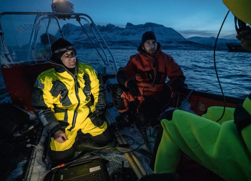 polar night arctic light pollution marine organisms research