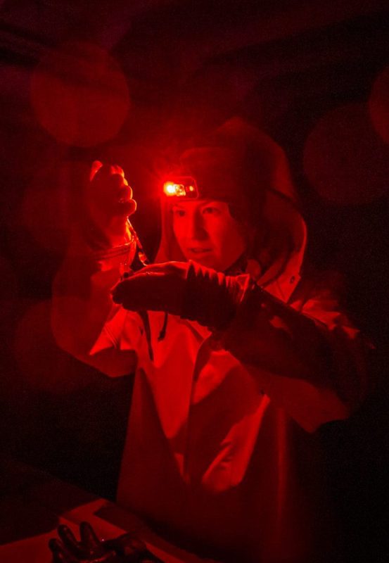 polar night arctic light pollution marine organisms scientific research