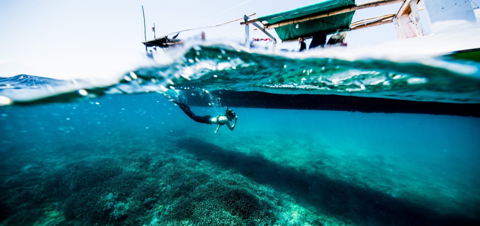 Project Hiu Shark Girl Madison underwater photo