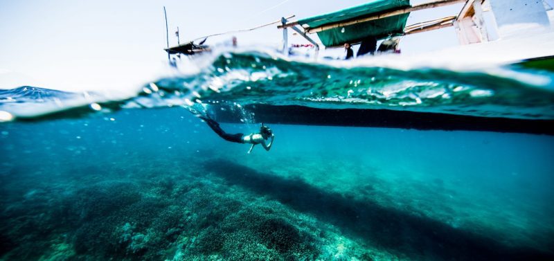 Project Hiu Shark Girl Madison underwater photo