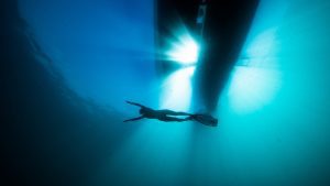 Project Hiu Shark Girl Madison freediver