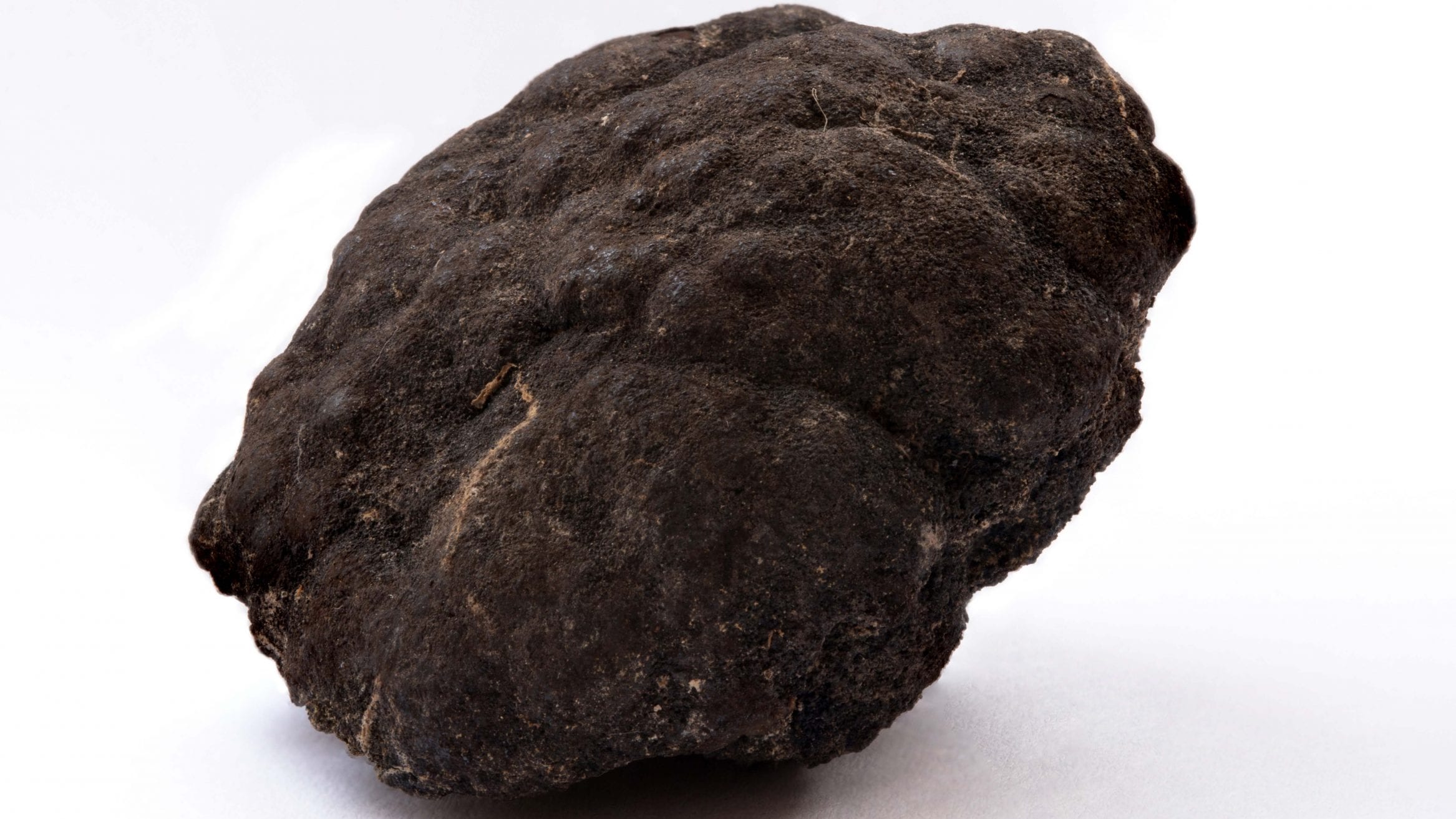 deep-sea mining Pacific Ocean nodule