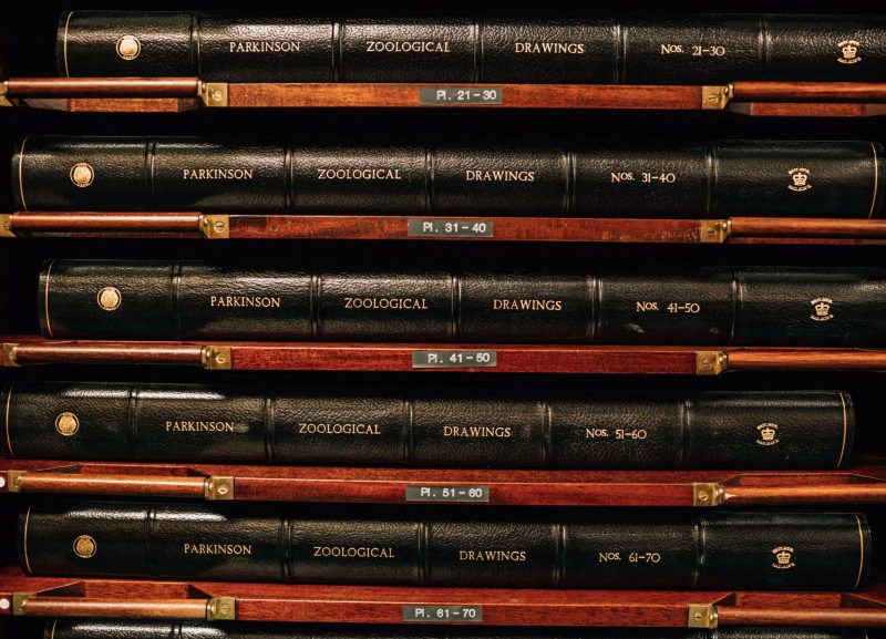 Finisterre Natural History Museum archives
