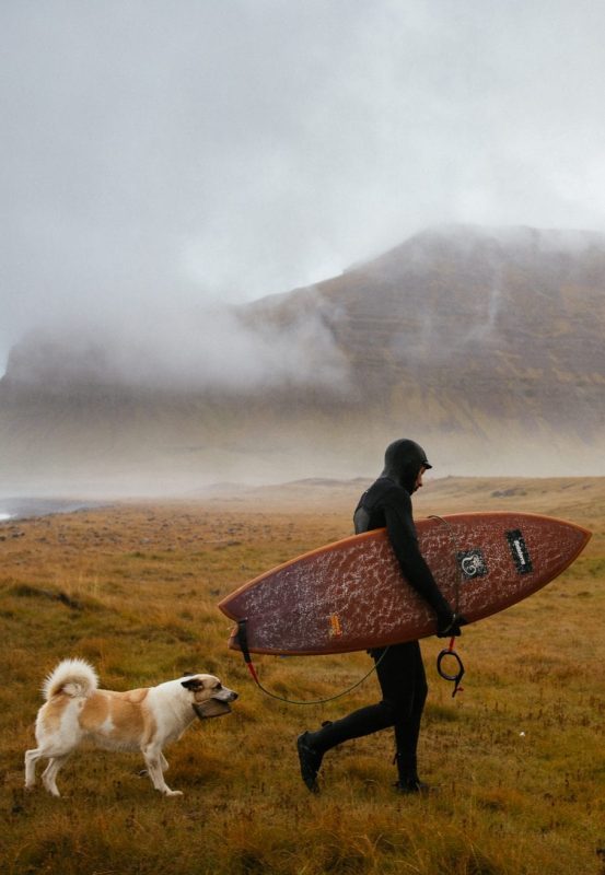 Finisterre Natural History Museum cold water surf