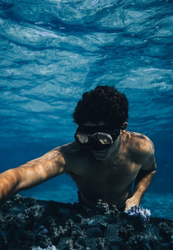 Titouan Bernicot Coral Gardeners nursery