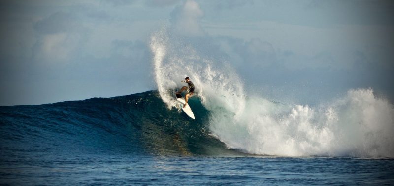 Titouan Bernicot Coral Gardeners surfing