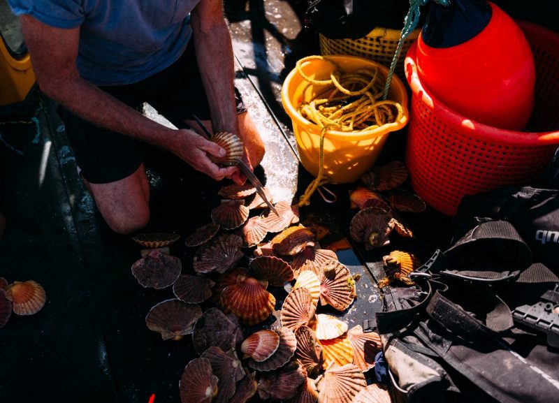 Jersey fishermen fishing