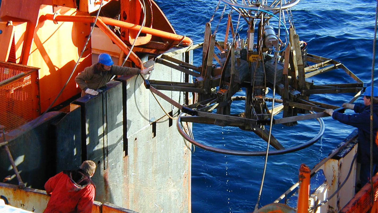 benthos antarctica