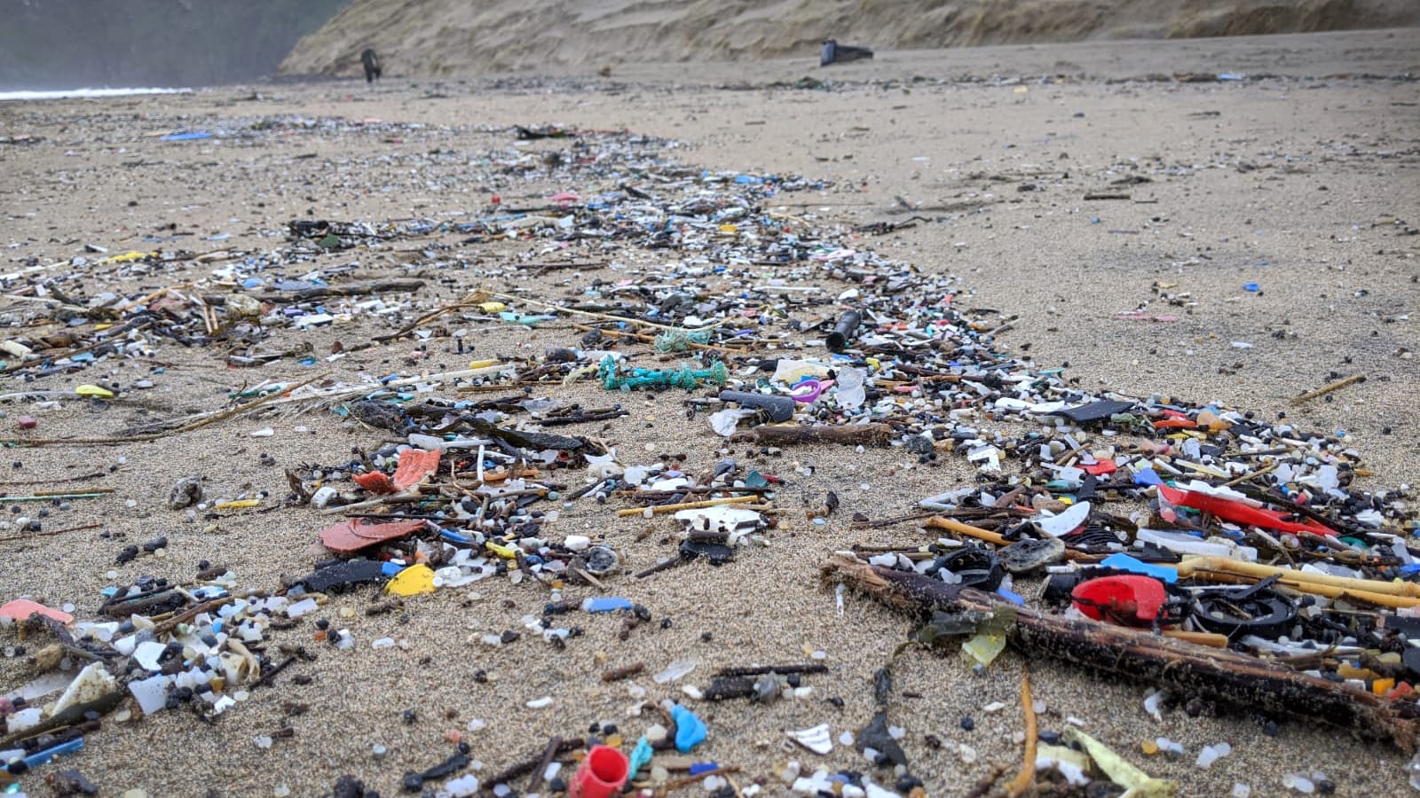 #ReturnToOffender Surfers Against Sewage The Dirty Dozen