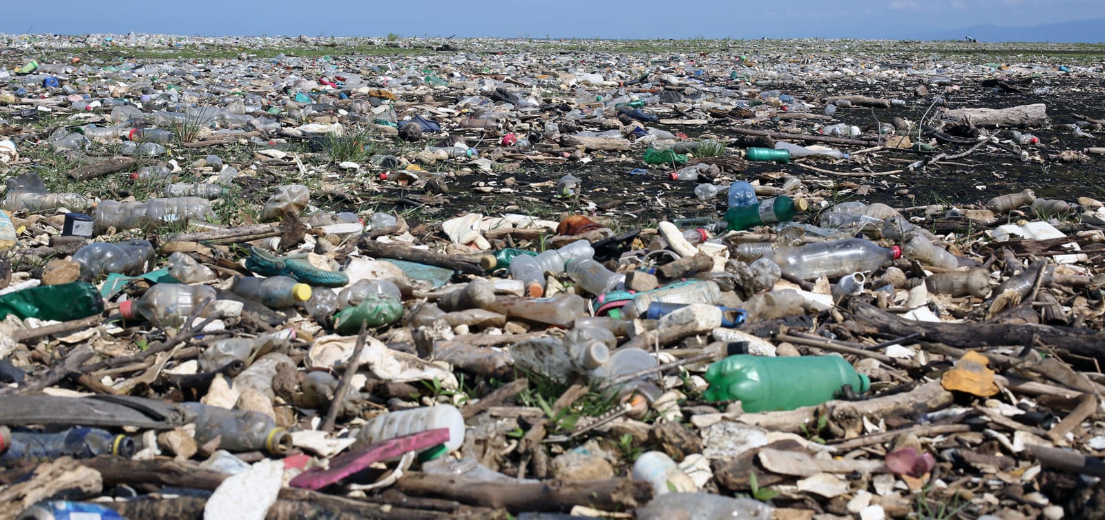4ocean Guatemala river mouth