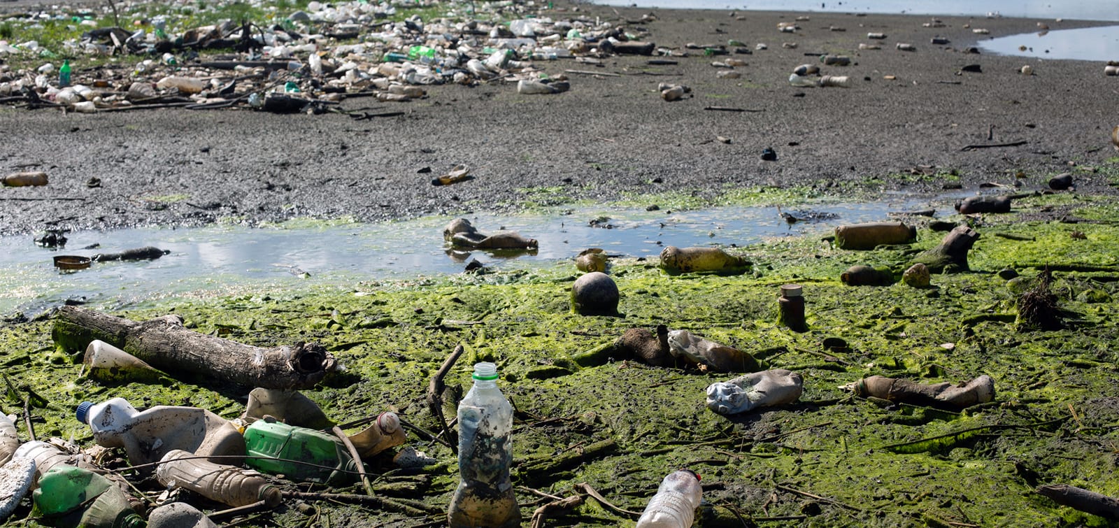 4ocean Guatemala ocean plastic