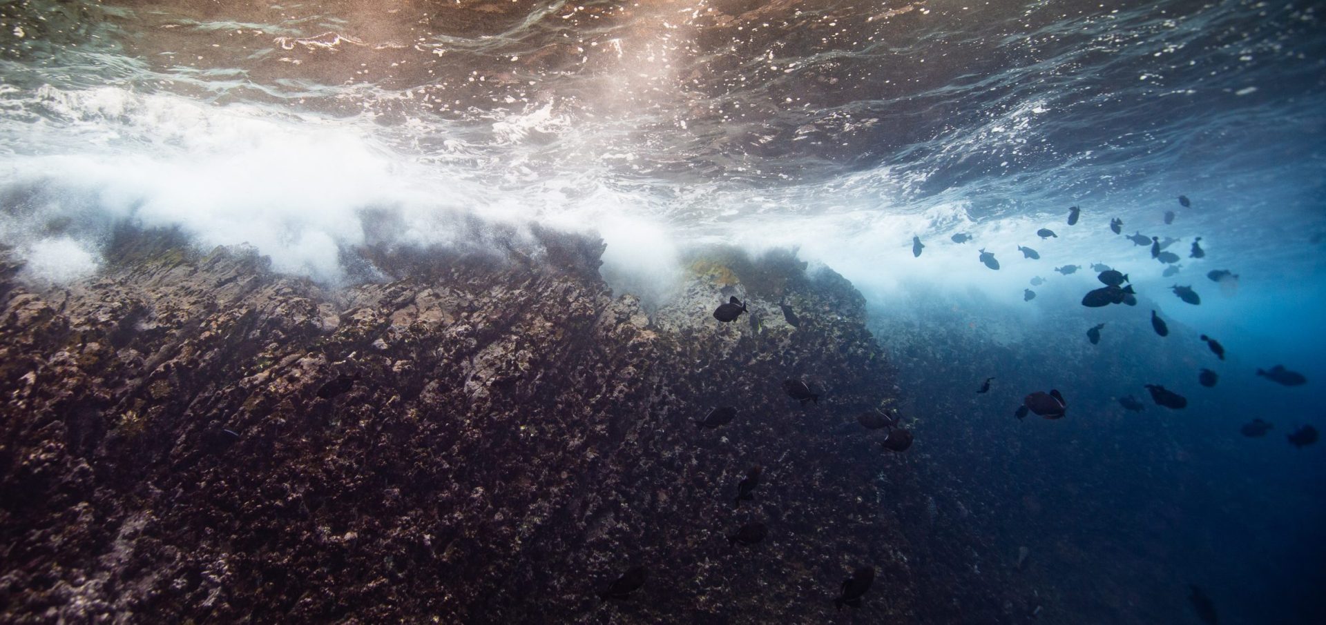cocos island costa rica swimway