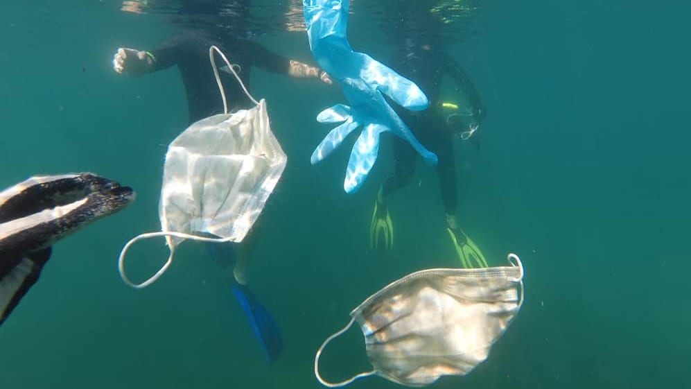 covid waste Opération Mer Propre